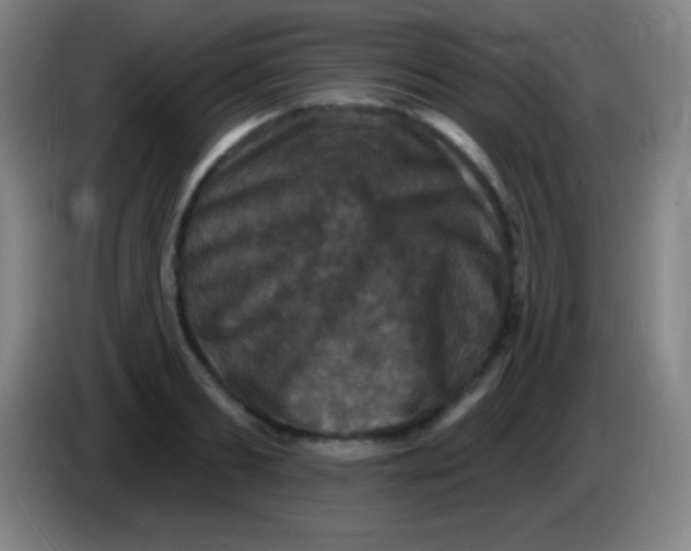 X0000085300893200703301957