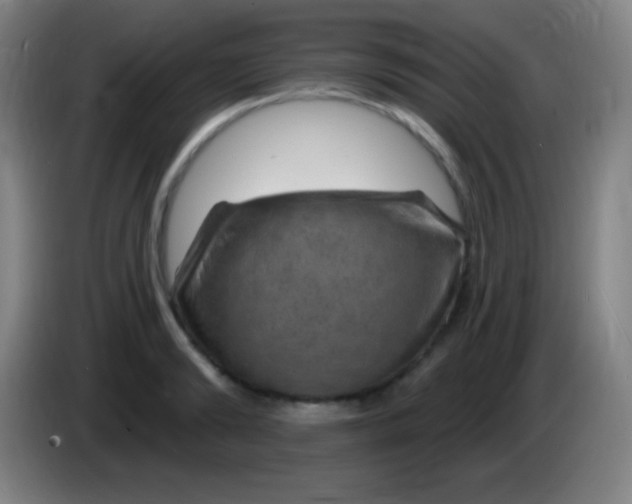 X0000085300894200703301957