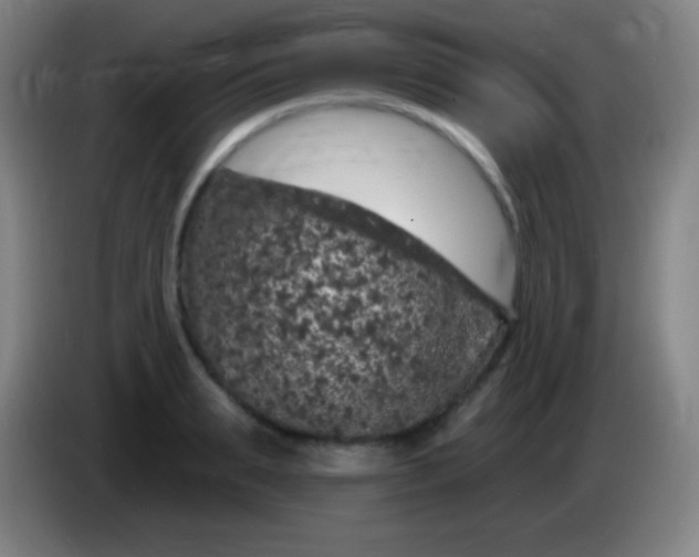 X0000085300895200703301957