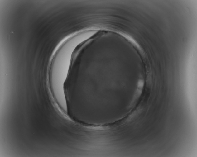 X0000085300896200703301957