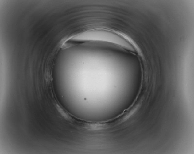 X0000085300897200703301957