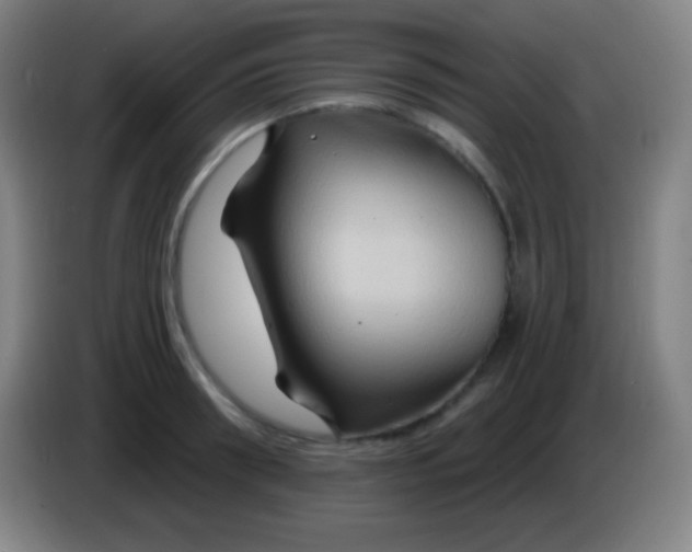 X0000085300898200703301957