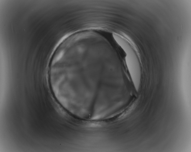 X0000085300899200703301957