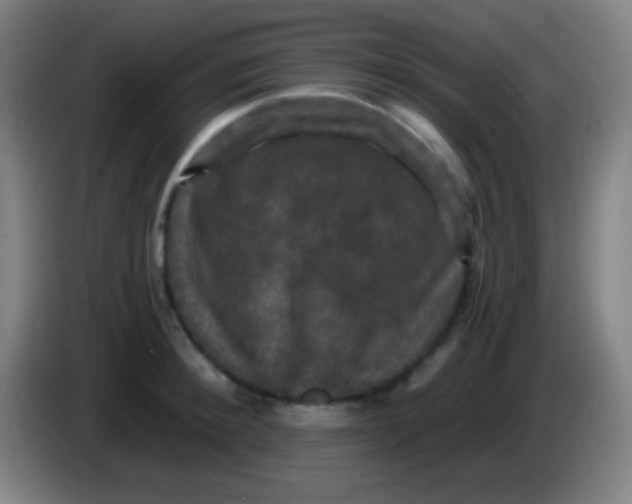 X0000085300900200703301957