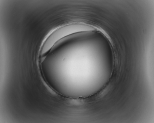 X0000085300901200703301957