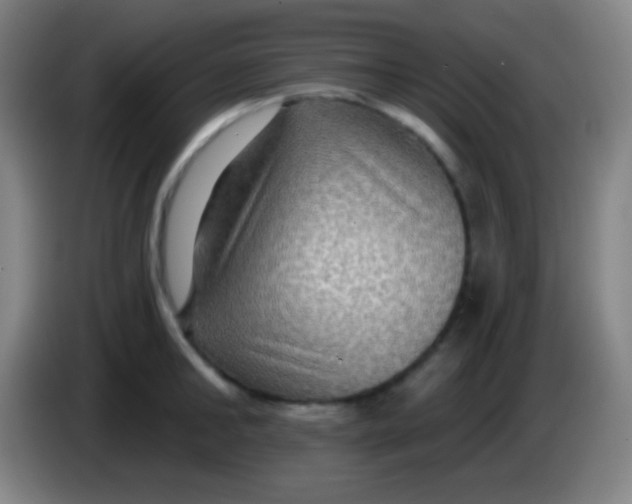 X0000085300902200703301957