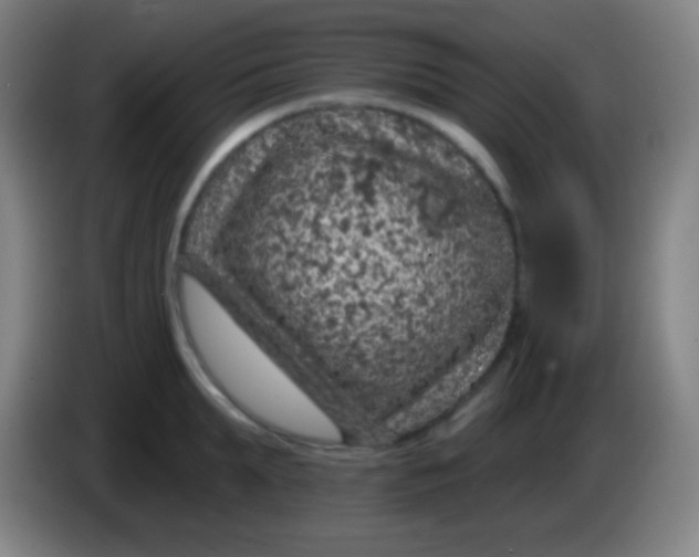 X0000085300903200703301957
