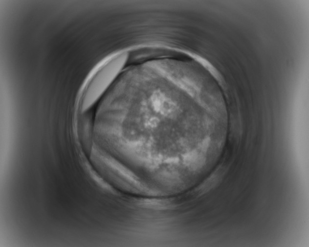 X0000085300904200703301957