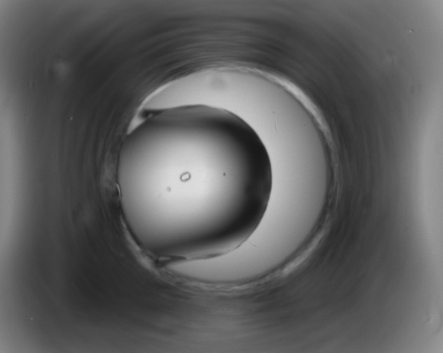 X0000085300905200703301957