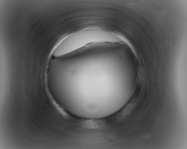 X0000085300906200703301957