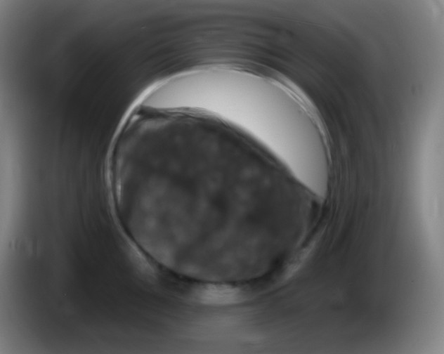X0000085300907200703301957