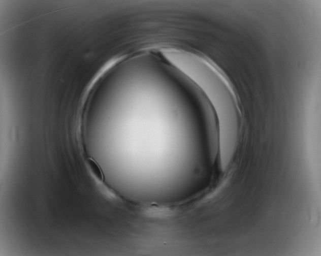 X0000085300909200703301957