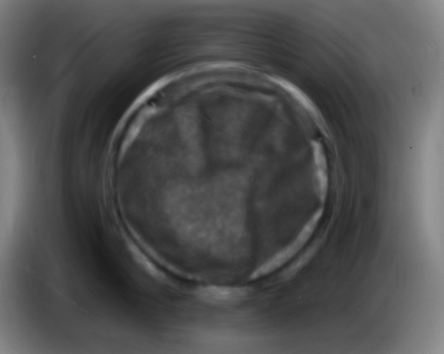 X0000085300910200703301957