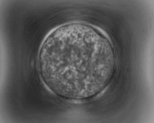 X0000085300911200703301957