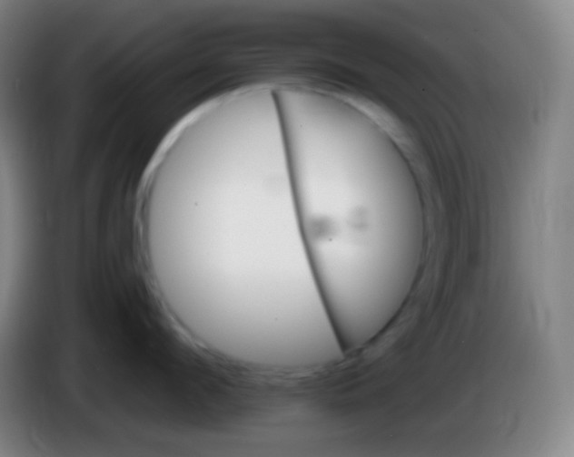 X0000085300912200703301957