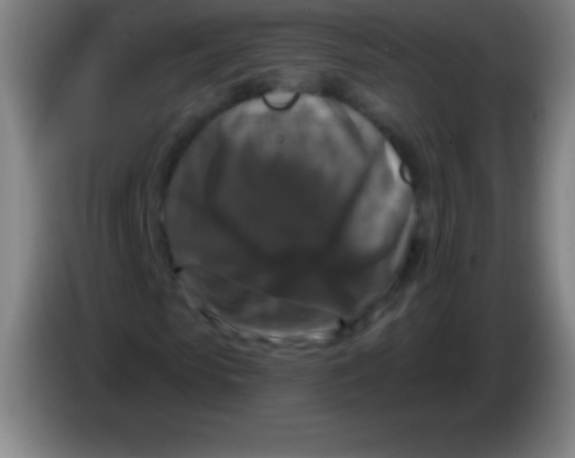 X0000085300913200703301957