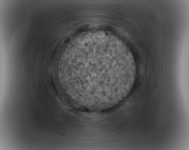 X0000085300914200703301957