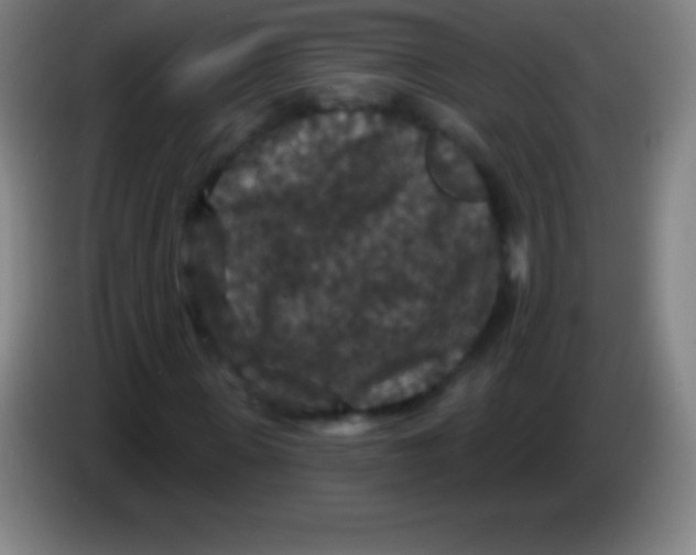 X0000085300915200703301957