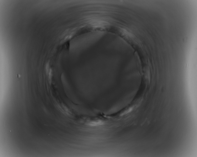 X0000085300916200703301957