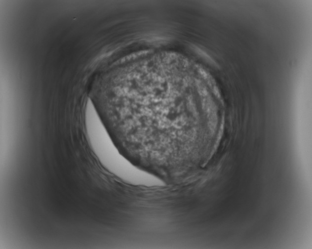 X0000085300917200703301957