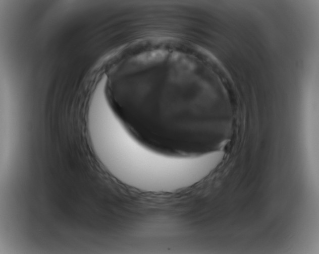 X0000085300919200703301957
