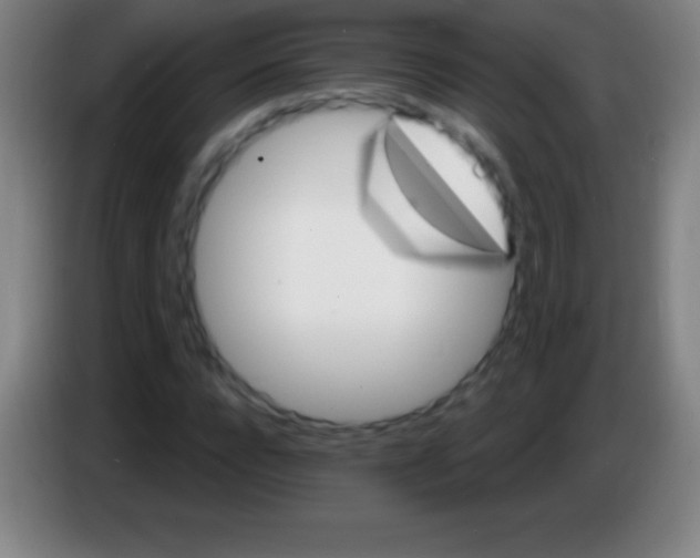 X0000085300920200703301957