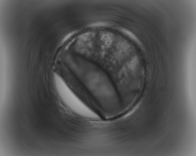 X0000085300921200703301957
