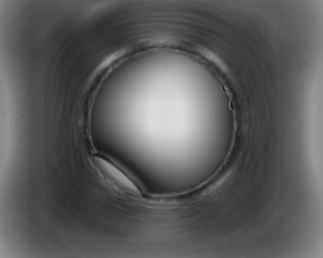 X0000085300922200703301957