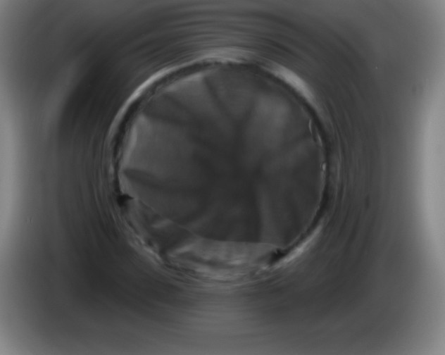 X0000085300923200703301957