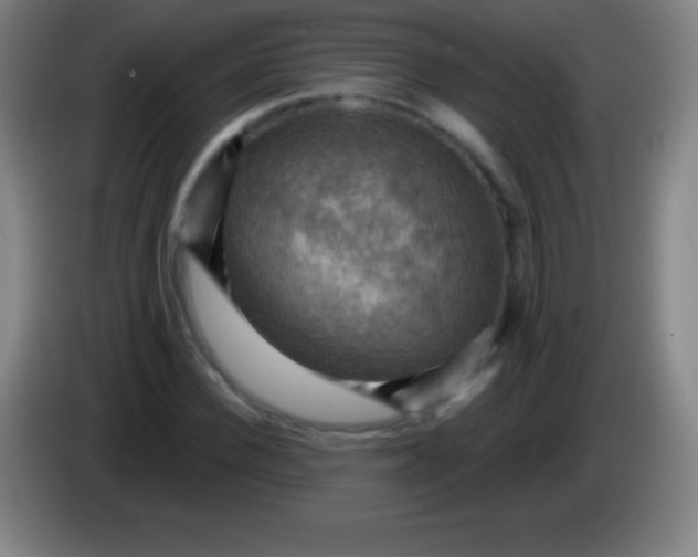 X0000085300924200703301957