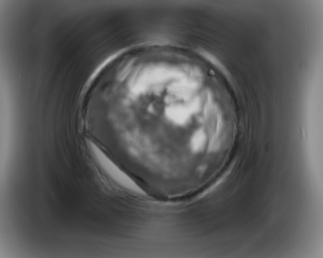 X0000085300925200703301957