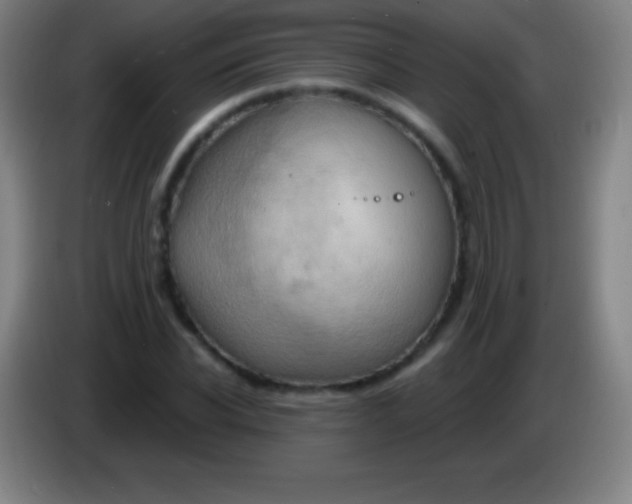 X0000085300926200703301957
