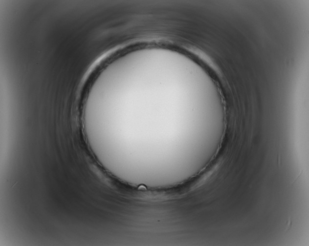 X0000085300927200703301957