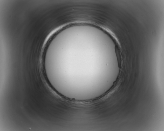 X0000085300928200703301957