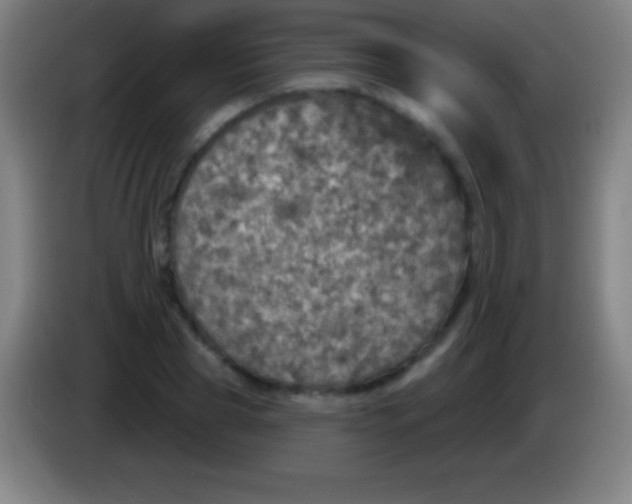 X0000085300929200703301957