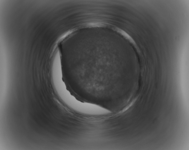 X0000085300930200703301957