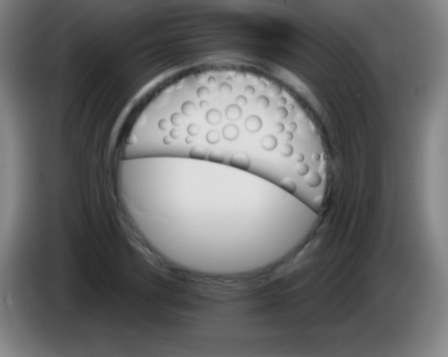 X0000085300931200703301957