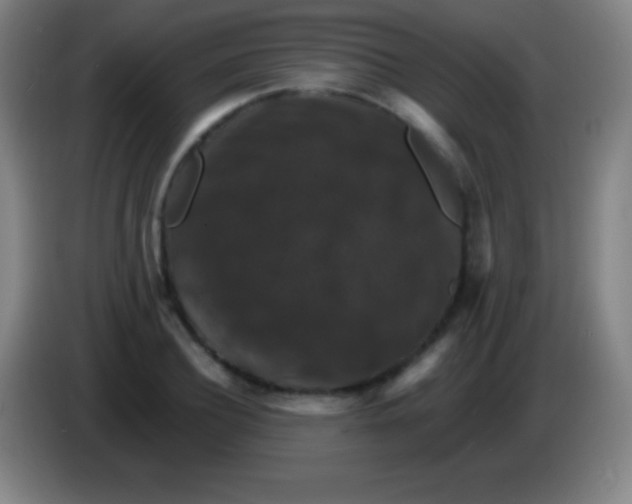 X0000085300932200703301957