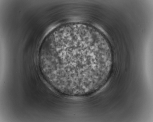 X0000085300933200703301957