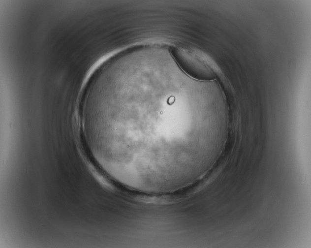 X0000085300936200703301957