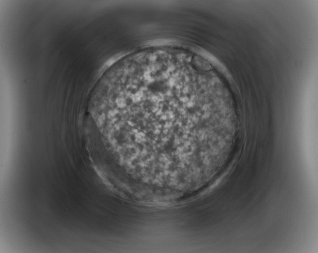 X0000085300937200703301957