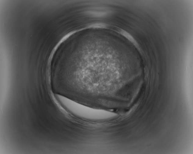 X0000085300939200703301957