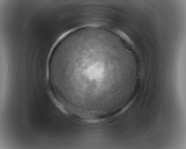 X0000085300940200703301957