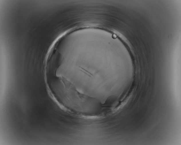 X0000085300941200703301957