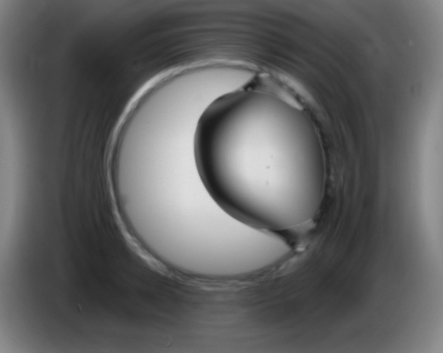 X0000085300942200703301957