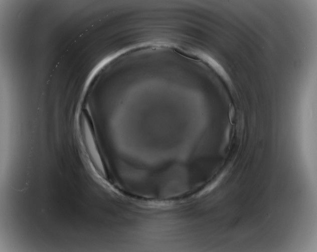 X0000085300944200703301957