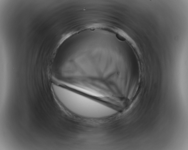 X0000085300945200703301957