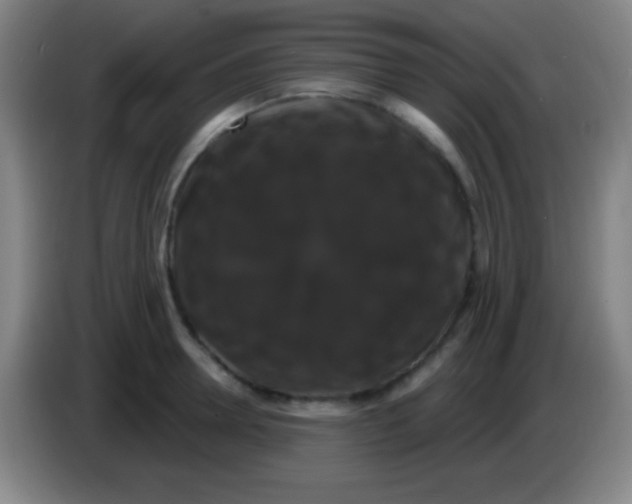 X0000085300946200703301957