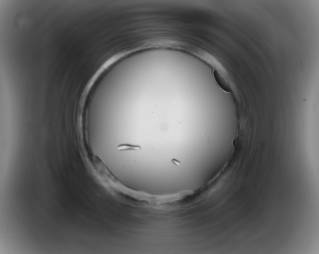 X0000085300947200703301957