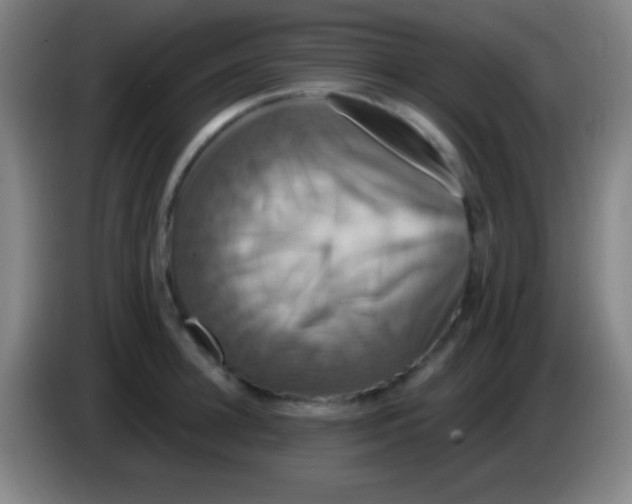 X0000085300948200703301957